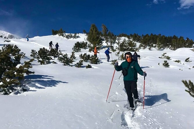 Sofia: Small group to Seven Rila Lakes and Skakavitsa waterfall - What the five-hour lake walk feels like