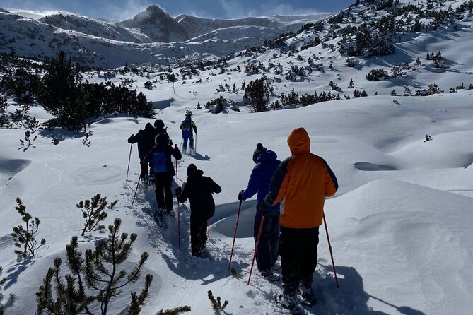 Sofia: Small group to Seven Rila Lakes and Skakavitsa waterfall - Guides Viktor and Dobrin can shape the experience