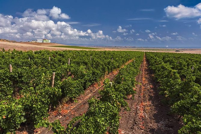 Special History And Wine Tour including Wine Tasting - Six Bulgarian wines, matched with local bites