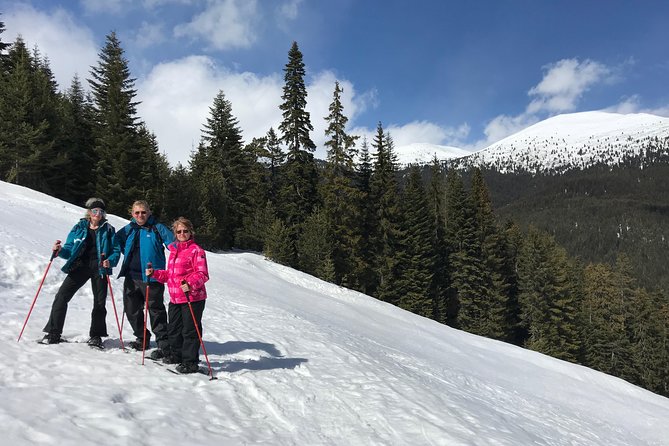 The Best of Bansko: Magical Snowshoeing Adventure & SPA - Starting from any Bansko address