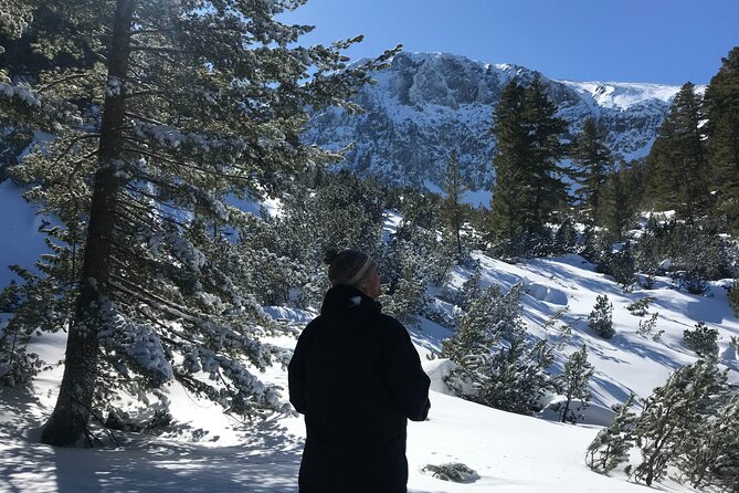 The Best of Bansko: Magical Snowshoeing Adventure & SPA - Practical details before you book