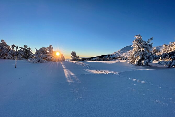 The Best of Sofia: Magical Snowshoeing Adventure in Vitosha & SPA - A route for beginners, or a harder day in the snow