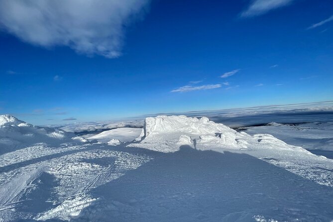 The Best of Sofia: Magical Snowshoeing Adventure in Vitosha & SPA - Is $103 good value?