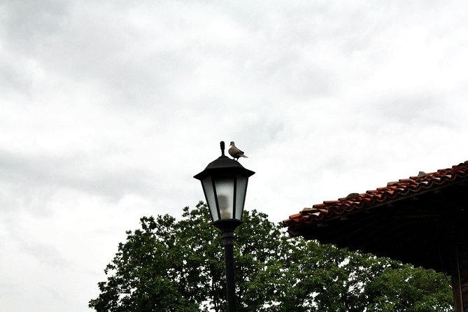 The Ultimate Private Zheravna Walking Tour - Key points at a glance