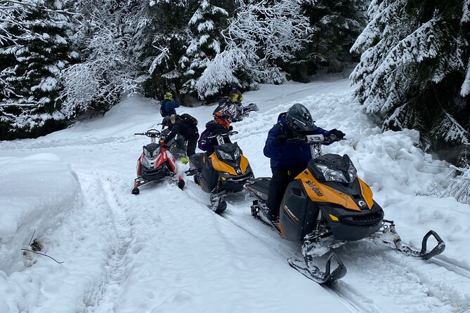 The Ultimate Snowmobile Adventure - 7 Rila Lakes & Panichishte - Panichishte, Rila, and Rila National Park