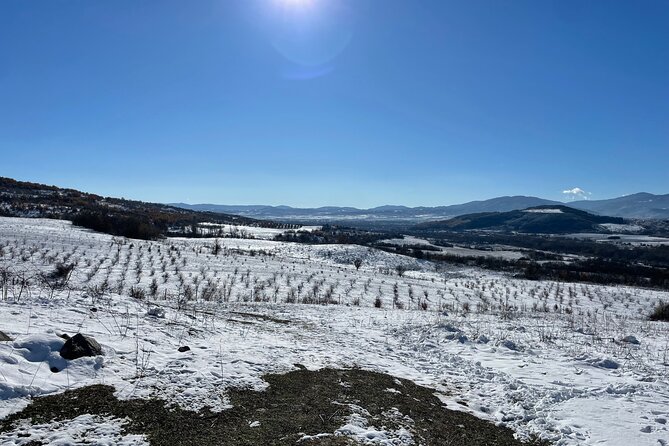 Truffle Hunting in Kyustendil - Casey and Angel turn farming into a conversation