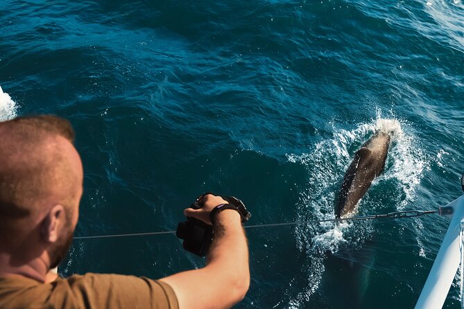 VIP Catamaran 4 hour Activity with Snorkeling in Bulgaria - Is $102.80 fair for the experience?