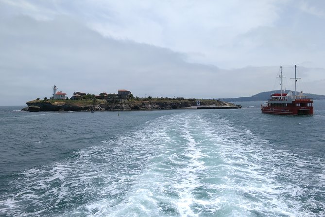 Visit the Unique & Only Bulgarian Black Sea Island Saint Anastasia - Key points to know before booking
