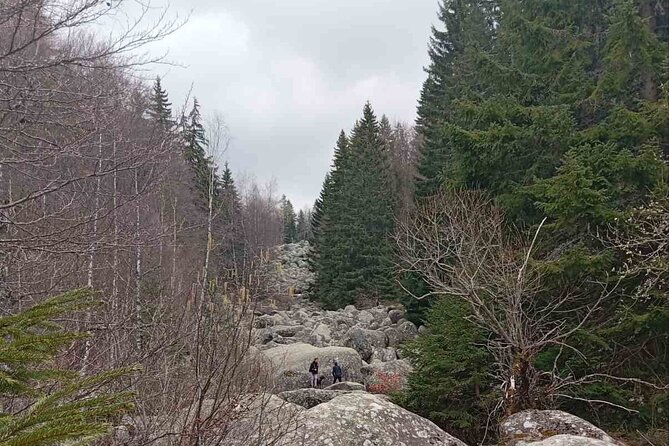 Vitosha Mountain- Heritage and Hiking- Private Day Trip - Hiking Vitosha Mountain and walking toward Boyana Lake