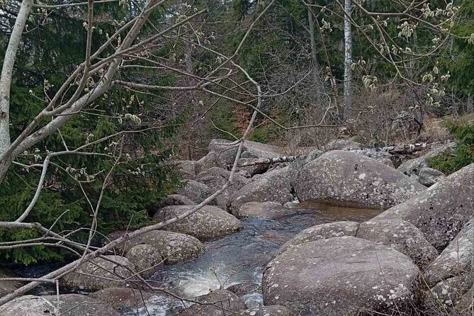 Vitosha Mountain- Heritage and Hiking- Private Day Trip - Price, extra costs, and overall value
