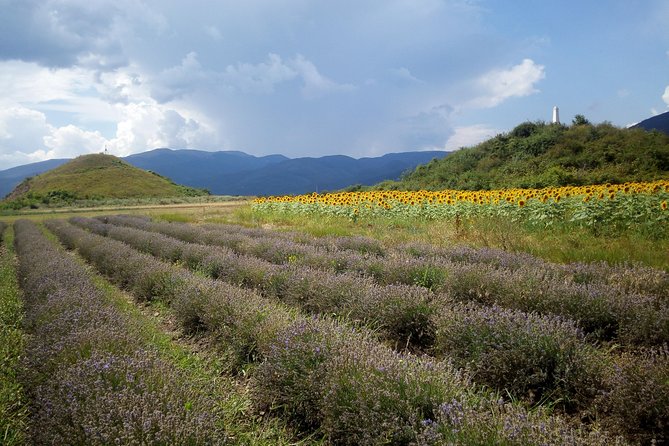 Weekend in Bulgaria - What the $581.78 price really covers