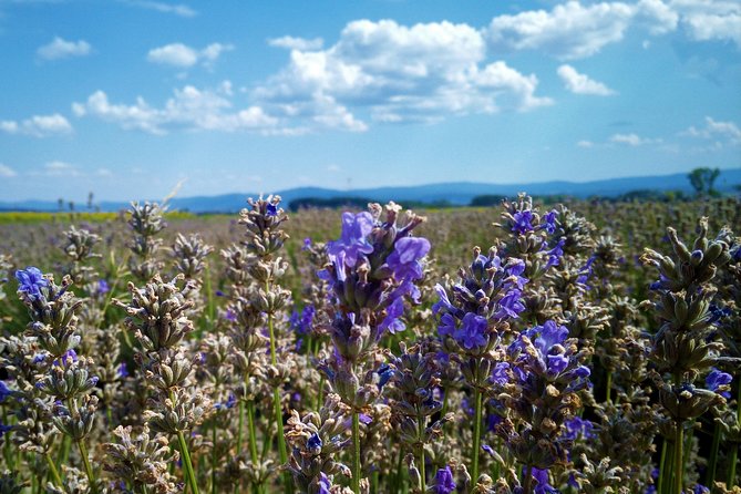Weekend in Bulgaria - The Kazanlak tomb and the Thracian burial sites