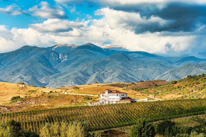 Wine Tasting & More in Villa Melnik – One of the World’s Best Wineries - Arriving at Villa Melnik in Harsovo