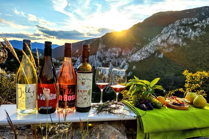 Wine trip with The Jolly Vintners near Sofia - Who will enjoy this outing most
